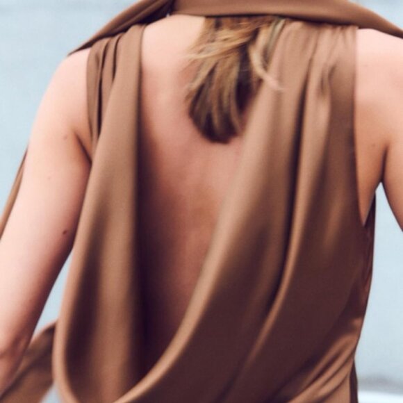 NWT Zara Brown Scarf Dress - Picture 3 of 4